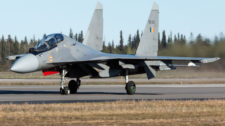Su-30MKI fighter jet of the Indian Air Force