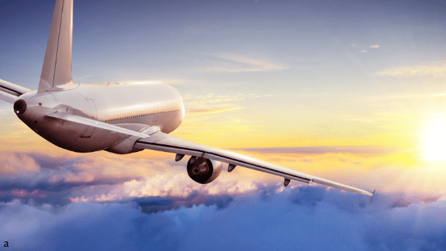 Adani Clarifies: June Letter Sought Stronger Regional Aviation, Not an Airline Bid