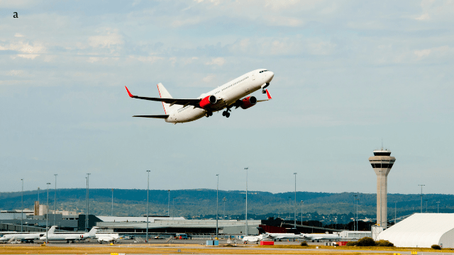 The Changing Role of Airline Alliances