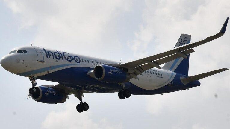 IndiGo Doha-Bengaluru Flight Diverted to Muscat After Pilot Falls Ill Mid-Air